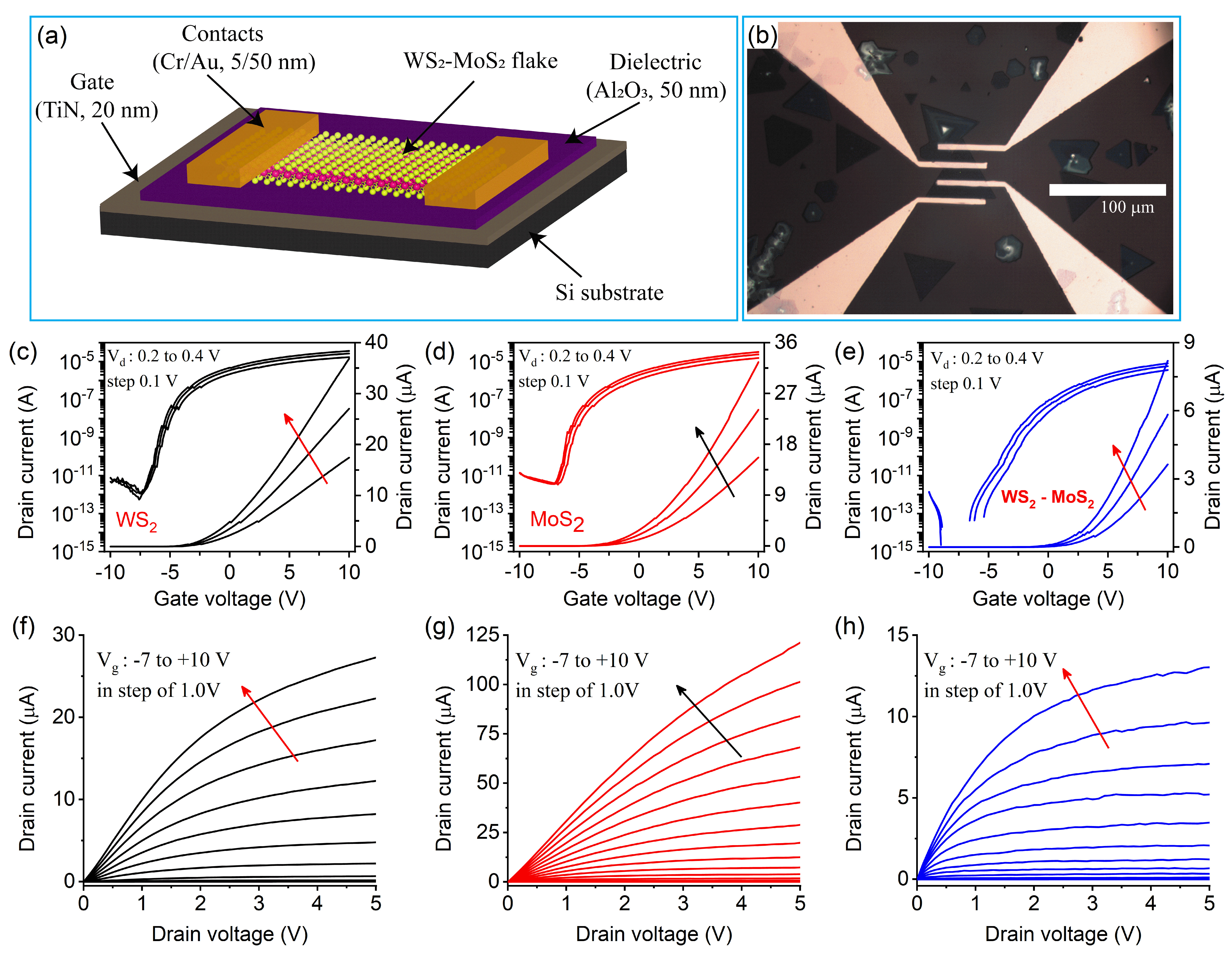 WS₂-MoS₂ Manuscript